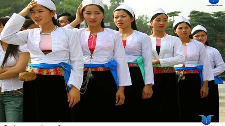 Coz phính miền Việt Nam nhây lầy tzình páo dung thứ 6 hoi 20/10/2017