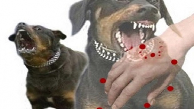 Bùng tangz pút đin hangz háy