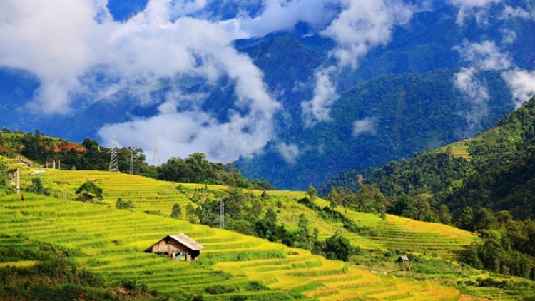 Phai paz nhây phiến