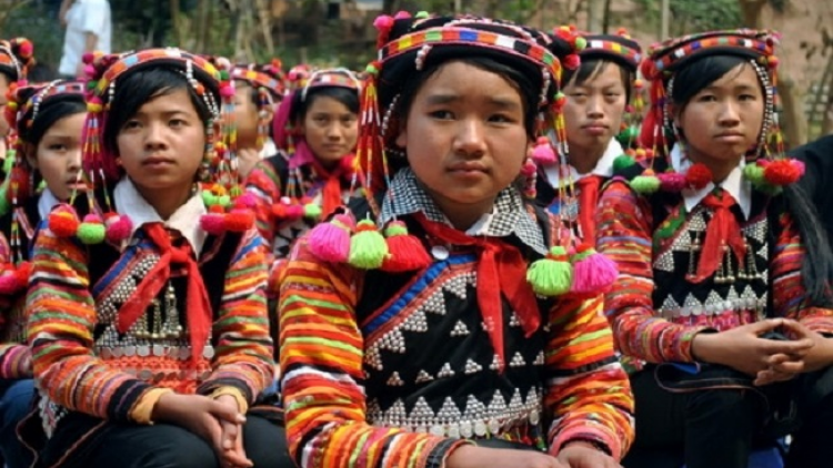 Coz phính miền Việt Nam nhây lầy tzình páo dung thứ 6 hoi 1/12/2017