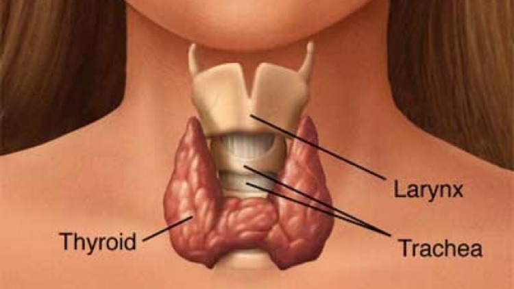 Pút pều-  kếu chaoz tzỏ pút pều