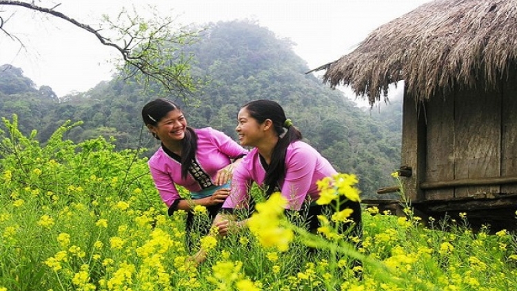 Phai paz nhây phiến