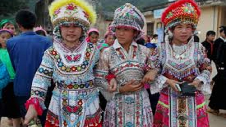 Coz phính miền Việt Nam nhây lầy tzình páo dung thứ 3 hoi 5.12.2017