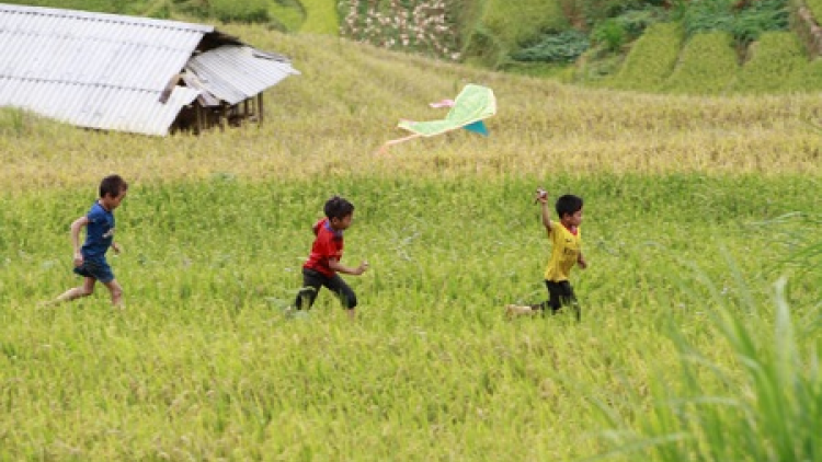 Phai paz nhây phiến thứ 6, hnoi 08/06/2018