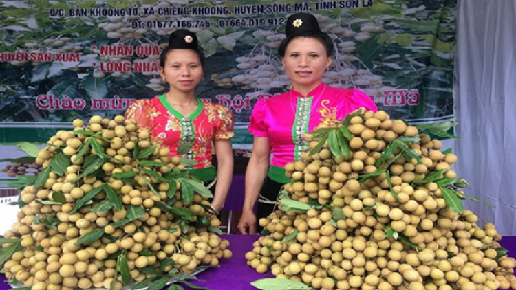 Lầy tzình phát sinh ìu miền thứ 5 hnoi 16/8/2018