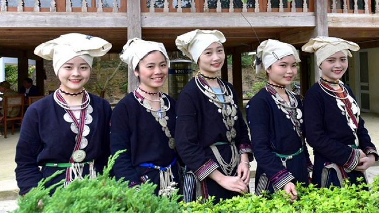 Lầy tzình  páo dung thứ 3 hoi 11/12/2018