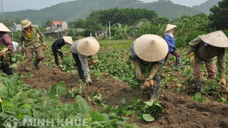 Suiz sành ấy lổng đao mayz tzụ thôz phép