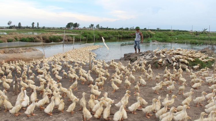 Bùng tangz pảnh pun tào xanh ziêm thóng hạ cuối