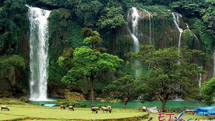 Phai paz nhây phiến