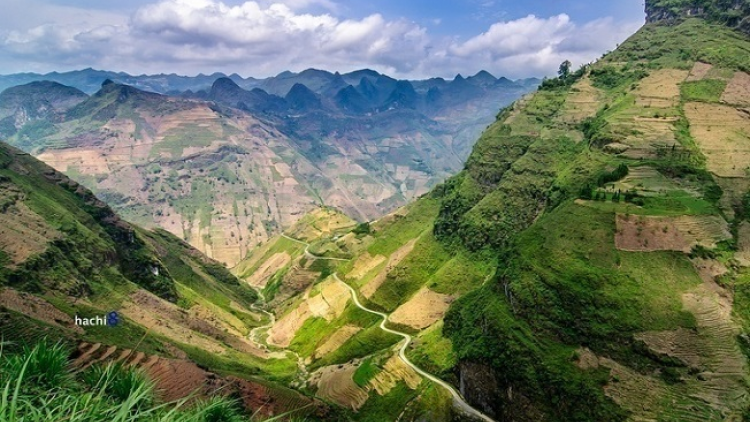 Phai paz nhây phiến