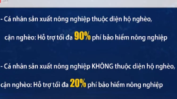 Huaz miền chổm tuz pong thính tháo 90% nhàn bảo hiểm cành tzuống​