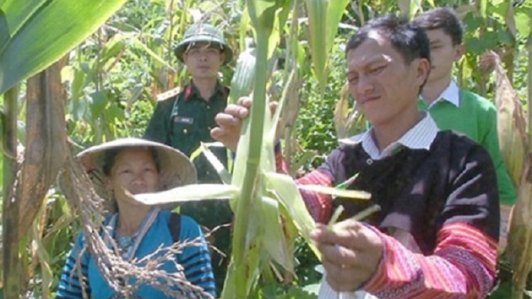 Câuz congz duốn làn bí thư chi bộ láng Cón tuz miền màn xiến miền màn hắm​