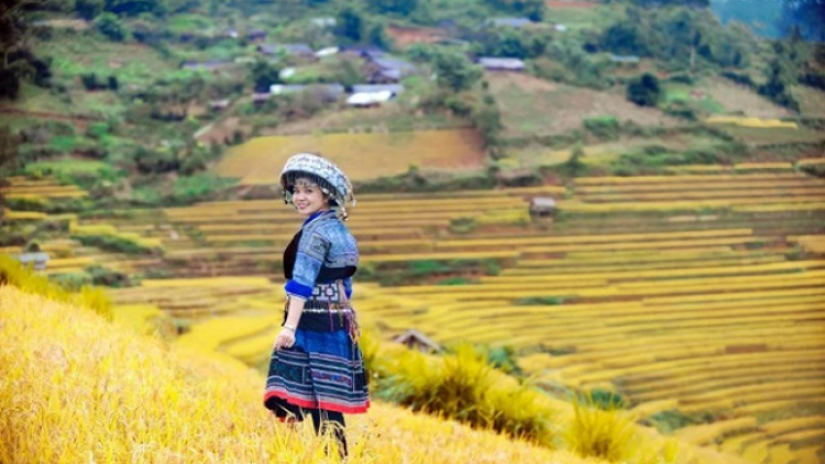 Phai paz nhây phiến