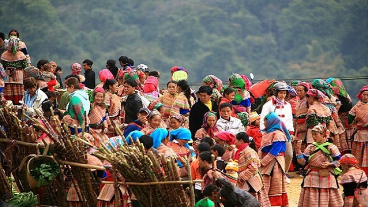 Coz phính miền Việt Nam nhây lầy tzình páo dung thứ 6 hoi 14/9/2018