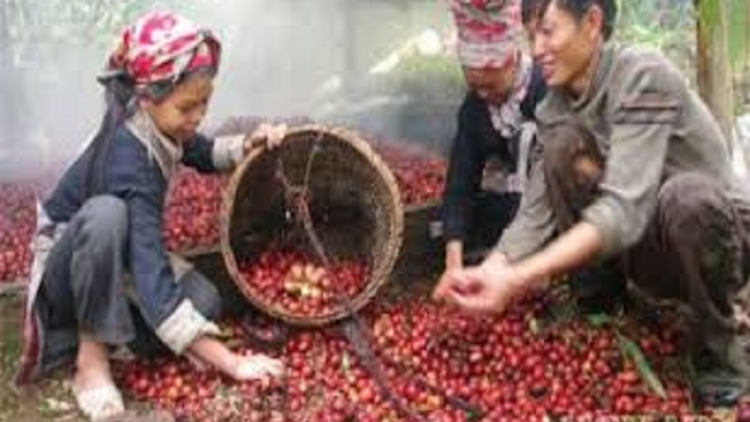 Coz phính miền Việt Nam nhây lầy tzình  páo dung thứ 6 hoi 15.6.2018