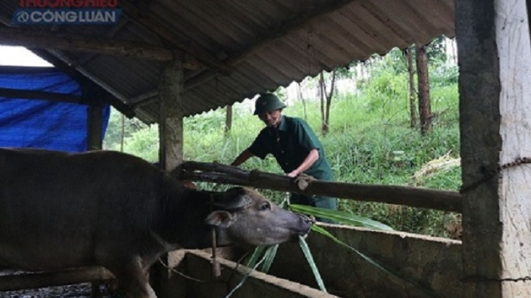 Làn Cựu chiến binh ziêm Phú Thọ  tzấu pút tzòi láy tuz caz nhàn