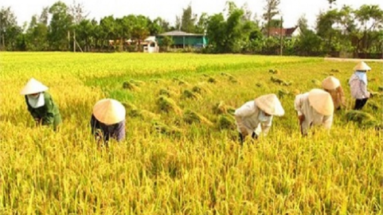 Tzính sâu pong thính Liệp hiệp hợp tác xã