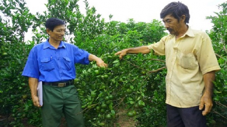 Đắc Lắc: Quýa pliát ngỏ chổm lái tzuống điáng nhản piêuz