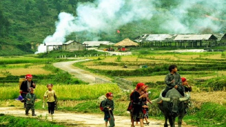 Phai paz nhây phiến