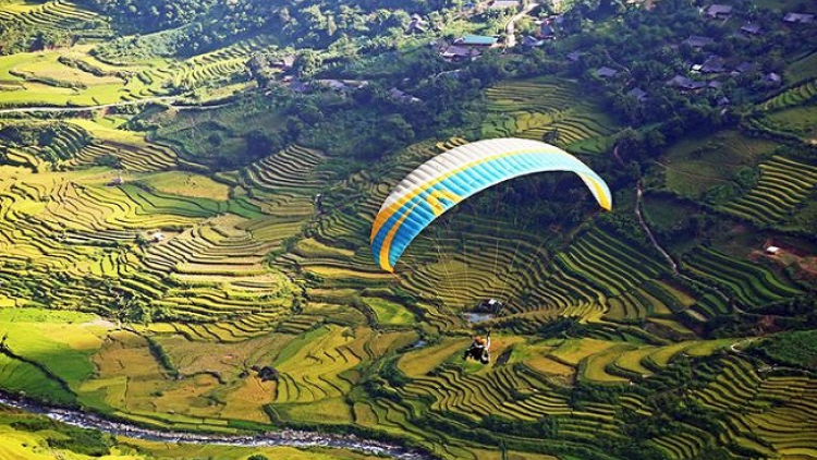 Phai paz nhây phiến