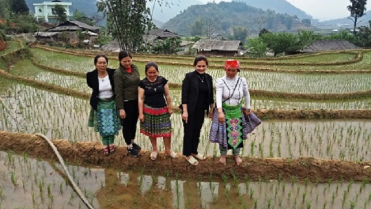 Làn pẹ mìu miền ziêm Páo Sang tzấu pút tzòi: thứ 5 hnoi 25/07/2019