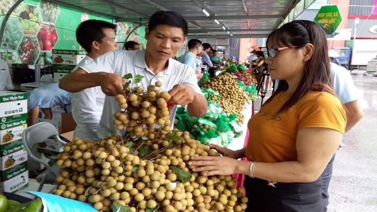 Lầy tzình phát sinh ìu miền vả thứ 4 hoi 2/1/2019