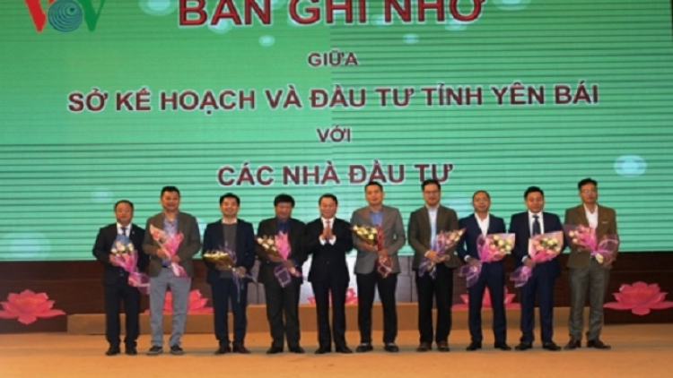 Phai paz nhây phiến