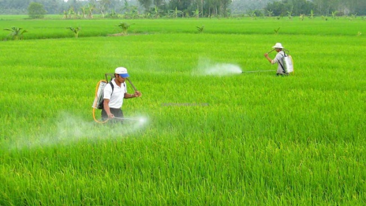 Lổng đia xiêuz mảng cành tzuống tzấy chaoz