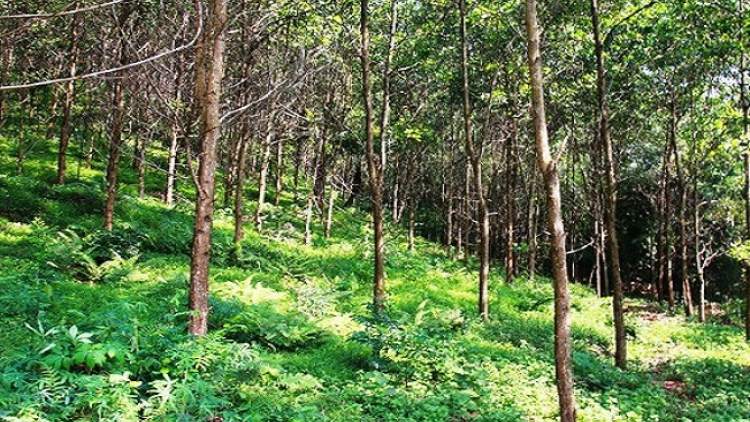 Làn  miền tzấu nhnàng khzun zói