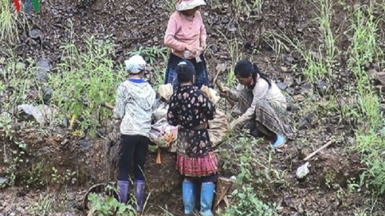 Lầy tzình phát sinh ìu miền vả thứ 4 hnoi 29/05/2019