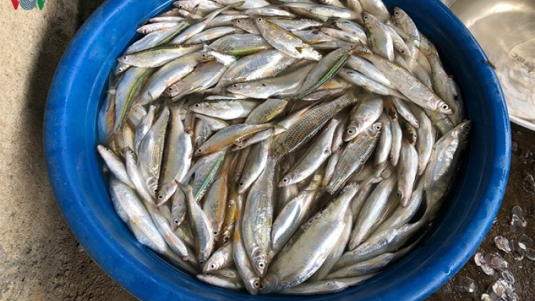 Lầy tzình phát sinh ìu miền vả thứ 7 hoi 02/11/2019