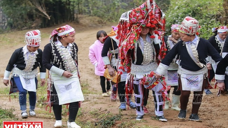 Lầy tzình páo dung chủ nhật hoi 1/11/2020