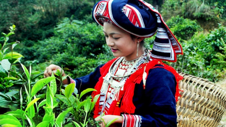 Phai paz nhây phiến thứ 6 hnoi 27/11/2020