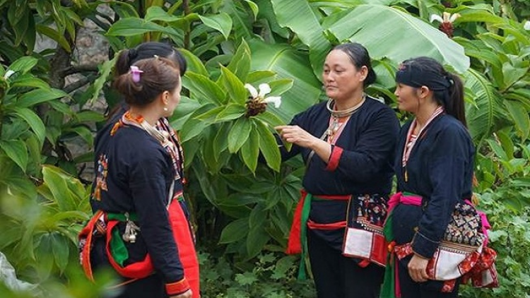 Lầy tzình phát sinh ìu miền vả thứ 6 hoi 25/12/2020