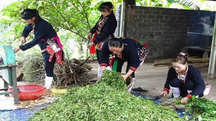 Lầy tzình phát sinh ìu miền vả thứ 2 hoi 28/12/2020