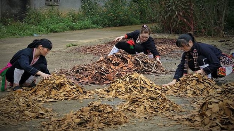 Lầy tzình phát sinh ìu miền vả thứ 5 hoi 24/12/2020