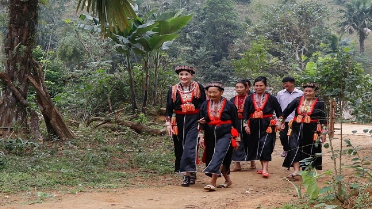 Lầy tzình  páo dung chủ nhật hoi 15/3/2020