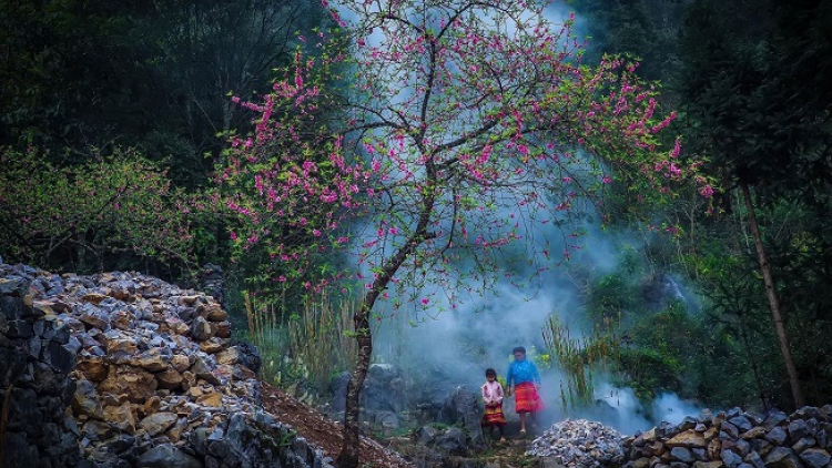 Phai paz nhây phiến