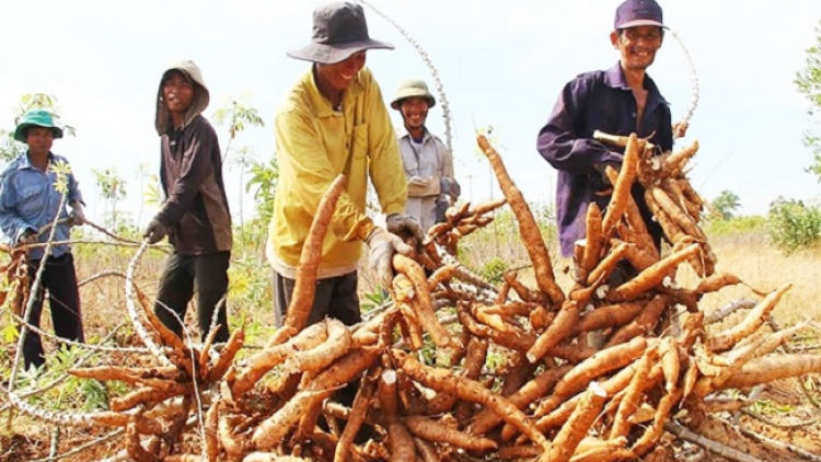 Quyết định 134 pong thính đao tzấu nhản, plieoz ziêm kếu coz nhủng chà sỉ khziếm phụ sú tzấu nhản kếu sấy tzẳng pun múa tỏi chổm