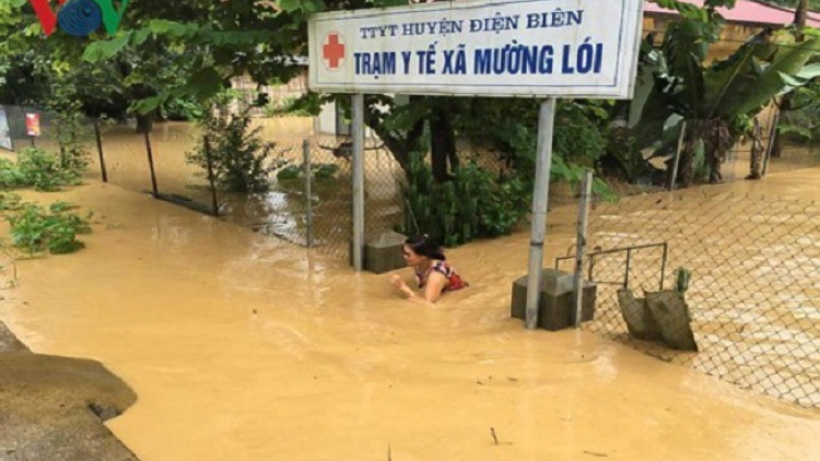 Phai paz nhây phiến