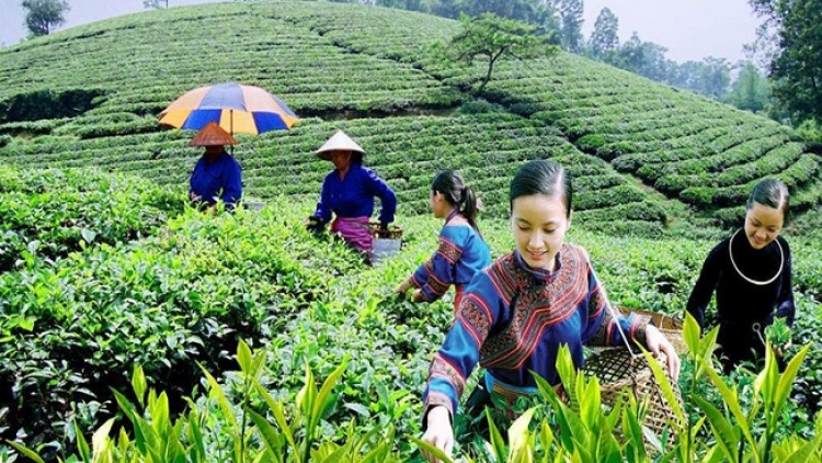 Tzính sâu pong thính pun múa tỏi phính miền ziêm tóng chổm khâuz