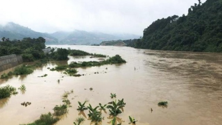 Phai paz nhây phiến