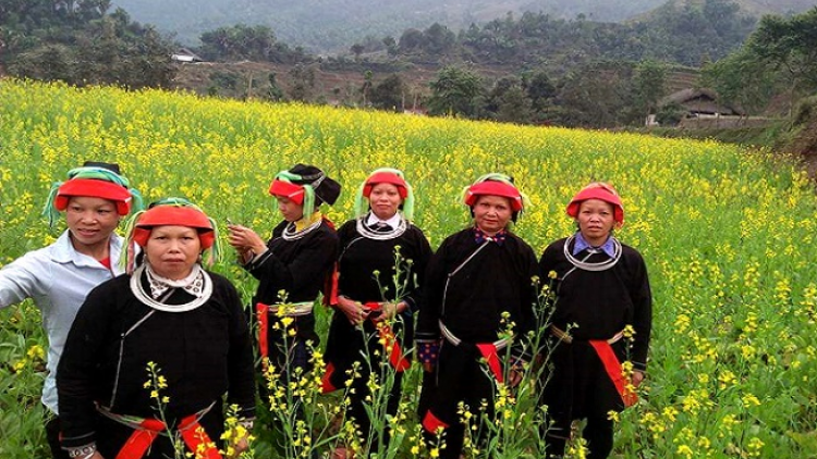 Lầy tzình phát sinh ìu miền vả thứ 2 hoi 13/7/2020