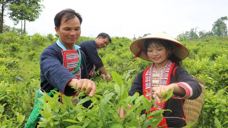 Phai paz nhây phiến thứ 2 hnoi 06/7/2020