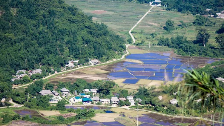 Phai paz nhây phiến