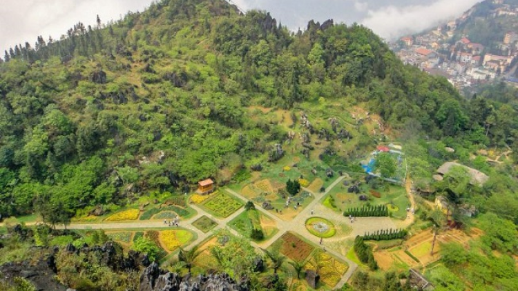 Phai paz nhây phiến