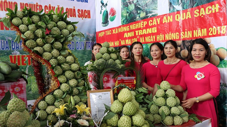 Lầy tzình phát sinh ìu miền vả thứ 4 hnoi 21.10.2020