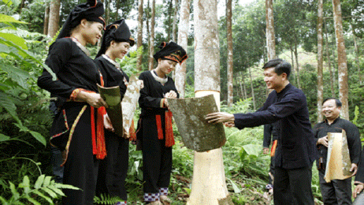 Lầy tzình xiêuz mảng kếu phát hiáng kềm