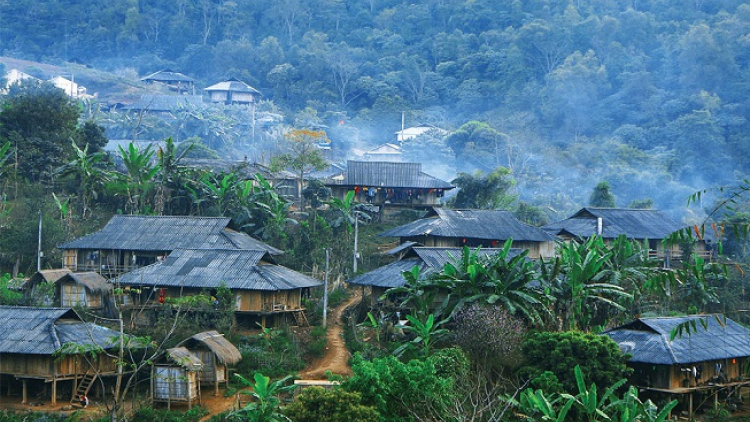 Phai paz nhây phiến