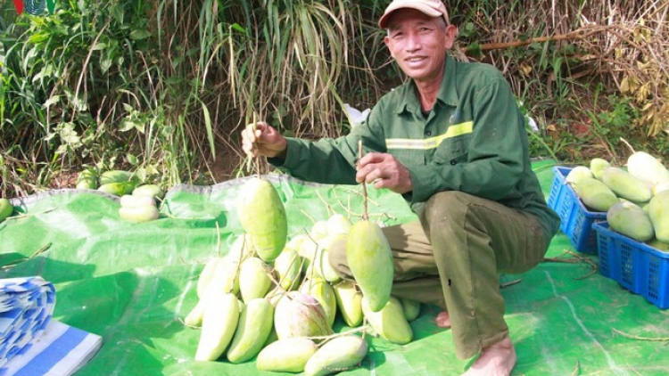Lầy tzình phát sinh ìu miền vả thứ 6 hnoi 29/5/2020